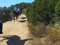 Sardegna 2014 (180)